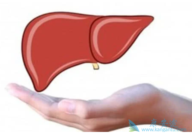 丙型肝炎 丙型肝炎