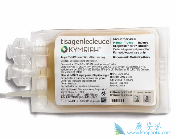 CAR-T疗法 CAR-T疗法