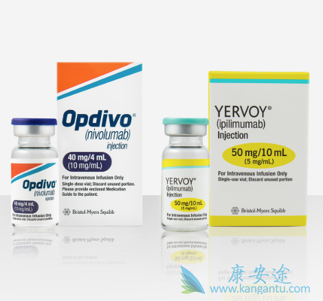 PD-1抑制剂 PD-1抑制剂