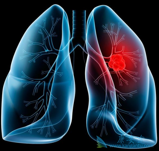 达可替尼 达可替尼