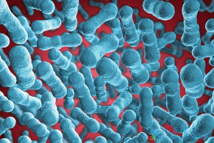 乙肝两对半对照表 乙肝两对半对照表