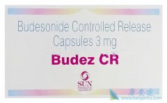 ���������������ε�(Budesonide)���÷�������ע������
