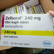 ���޷���(vemurafenib)��������ëϸ����Ѫ�����ڶ̰�ȫ�Ժ�