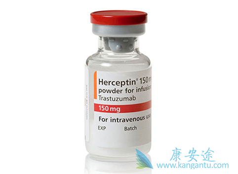 HER2抑制剂 HER2抑制剂
