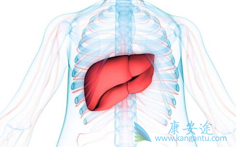 乙肝治疗 乙肝治疗