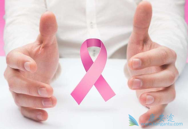 尼拉帕尼 尼拉帕尼