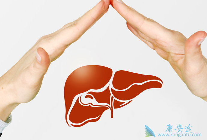 乙肝病毒携带者 乙肝病毒携带者