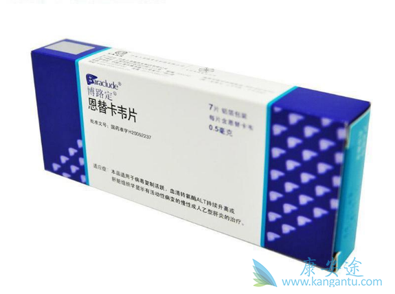 恩替卡韦 恩替卡韦