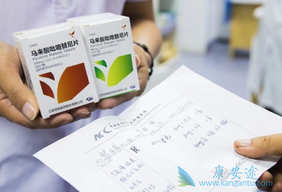 马来酸吡咯替尼 马来酸吡咯替尼