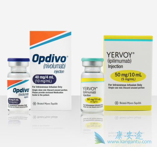 免疫检查点抑制剂 免疫检查点抑制剂