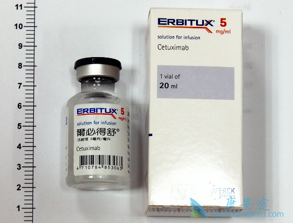 西妥昔单抗 西妥昔单抗