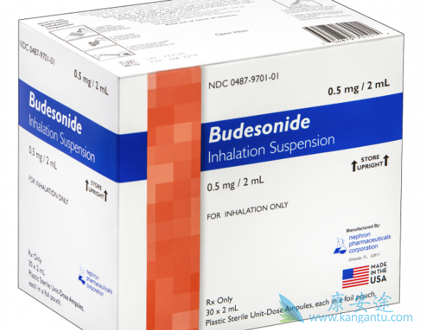 布地奈德 布地奈德