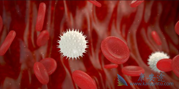 白血病的病因 白血病的病因