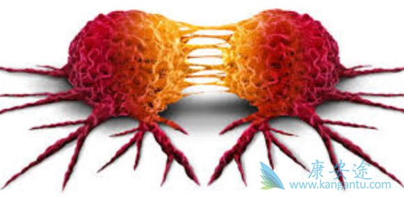 白血病传染吗 白血病传染吗