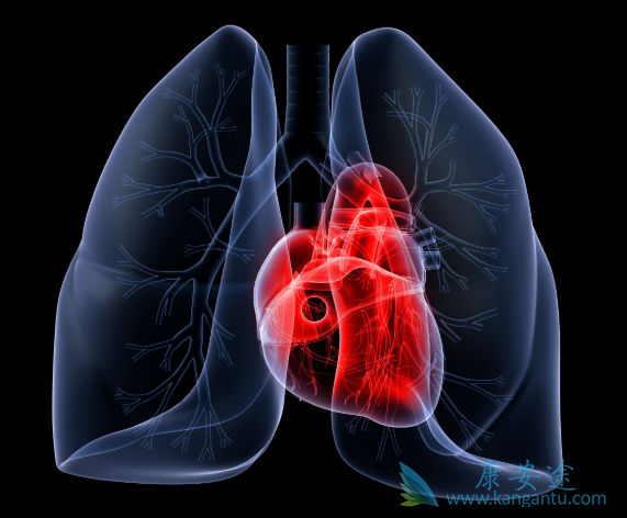 肺动脉高压 肺动脉高压