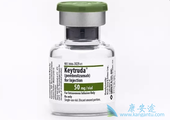 派姆单抗 派姆单抗