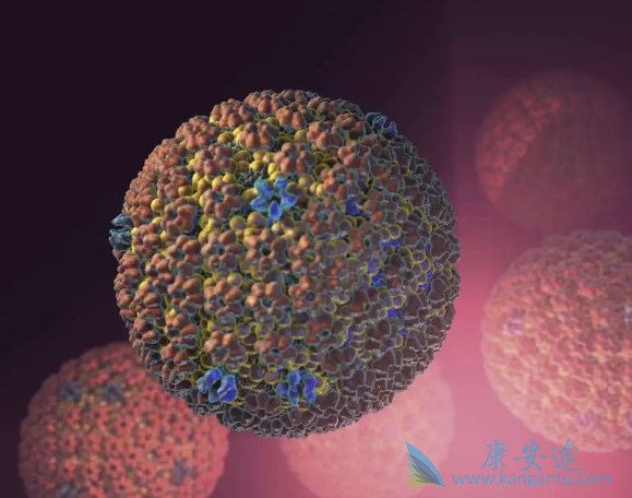 卡波西肉瘤 卡波西肉瘤