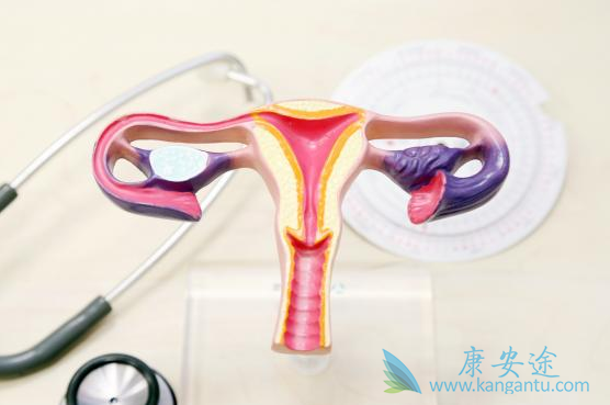 宫颈癌的治疗 宫颈癌的治疗