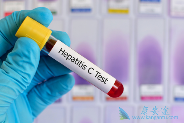 丙肝病毒 丙肝病毒