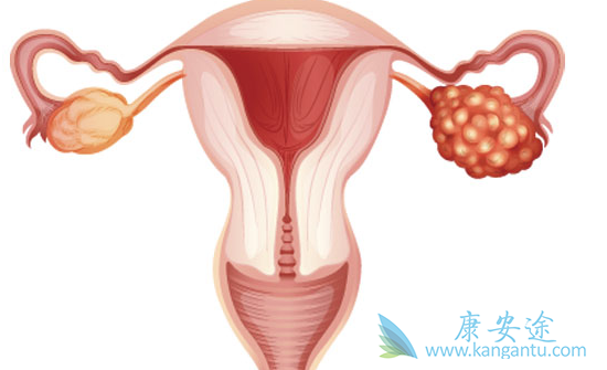 抗血管新生标靶药 抗血管新生标靶药