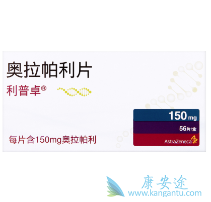 PARP抑制剂 PARP抑制剂