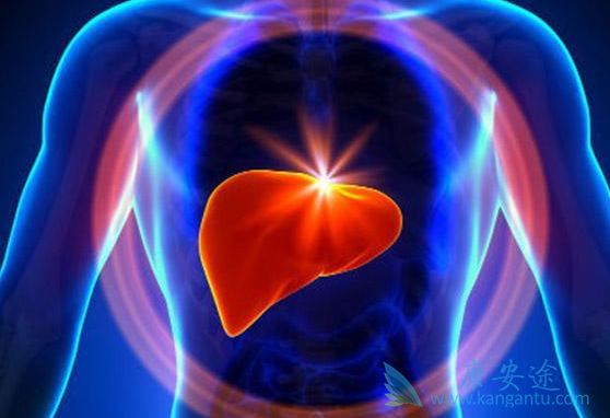 丙肝抗体 丙肝抗体