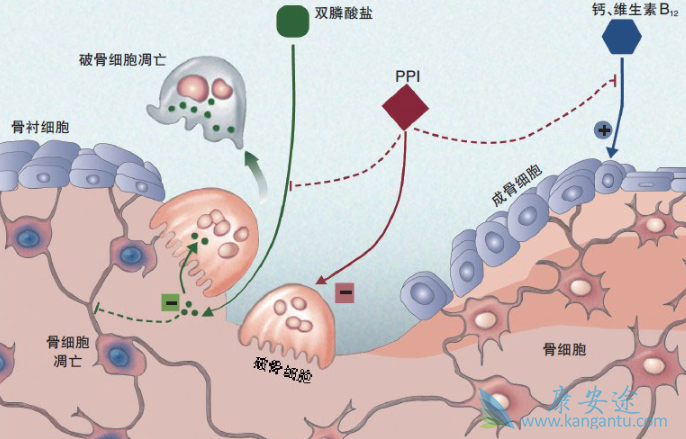双磷酸盐 双磷酸盐
