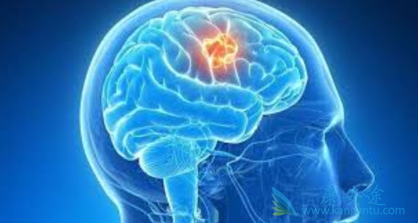 脑部肿瘤 脑部肿瘤