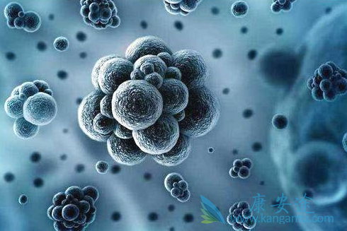 丙肝病毒 丙肝病毒