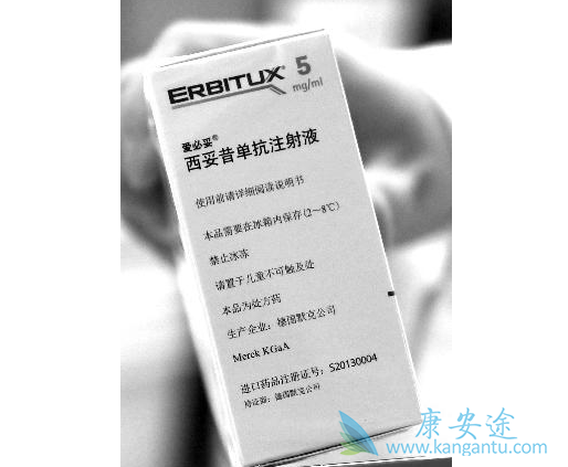 西妥昔单抗 西妥昔单抗