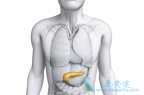 胰腺癌能活多久 胰腺癌能活多久