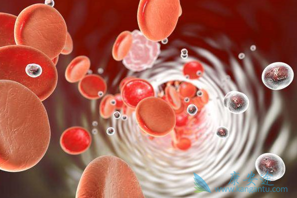 急性髓细胞性白血病 急性髓细胞性白血病