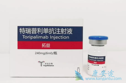 特瑞普利单抗 特瑞普利单抗