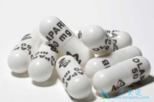 尼拉帕尼 尼拉帕尼