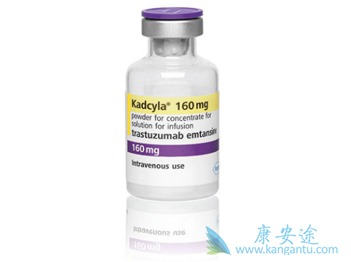 HER2阳性 HER2阳性