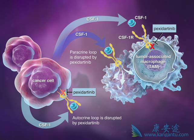pexidartinib pexidartinib