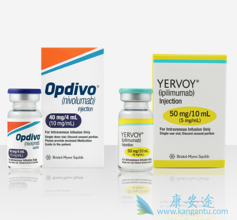 纳武利尤单抗 纳武利尤单抗