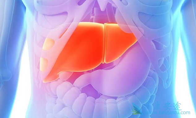 乙型肝炎核心抗体阳性 乙型肝炎核心抗体阳性