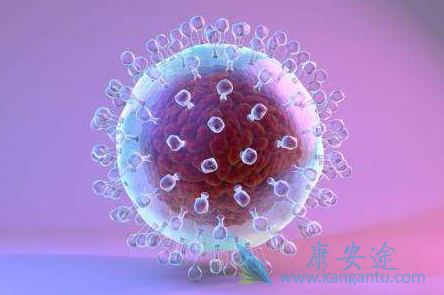 丙肝抗体阳性 丙肝抗体阳性