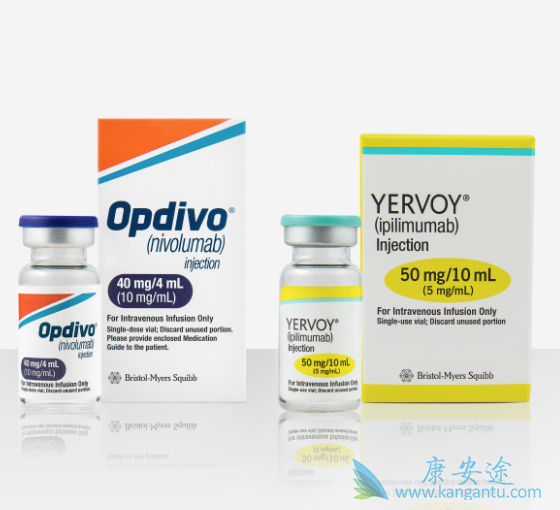 免疫治疗 免疫治疗