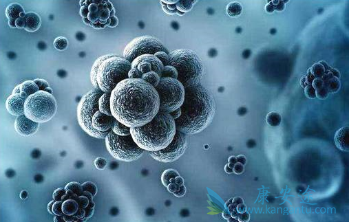 丙肝病毒 丙肝病毒