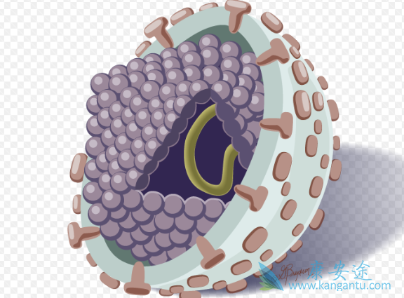 丙肝传染吗 丙肝传染吗