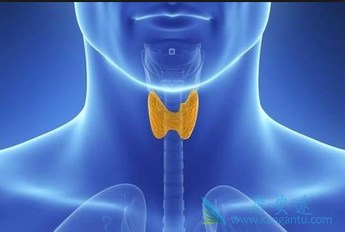 甲状腺癌的早期症状 甲状腺癌的早期症状