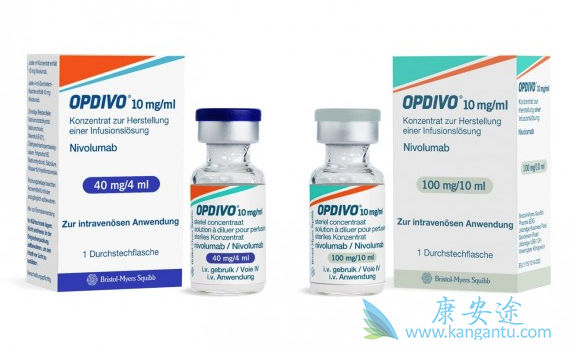 免疫检查点抑制剂 免疫检查点抑制剂