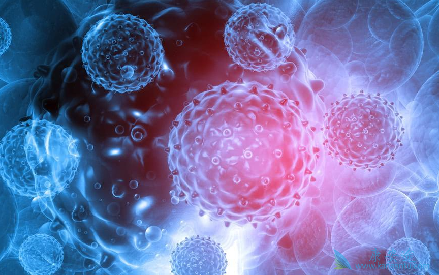 恶性黑色素瘤 恶性黑色素瘤