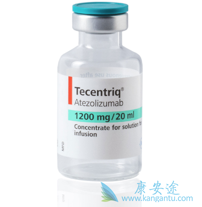 免疫检查点抑制剂 免疫检查点抑制剂