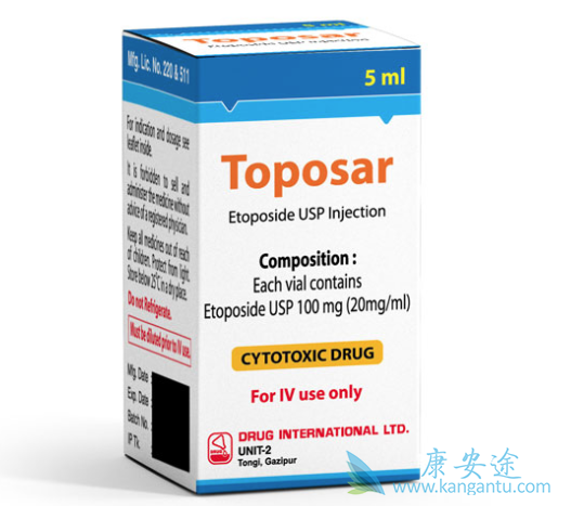 小细胞肺癌 小细胞肺癌