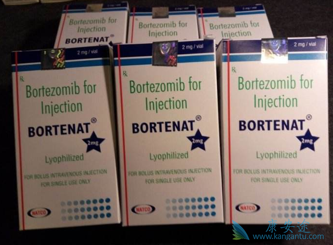 硼替佐米 硼替佐米