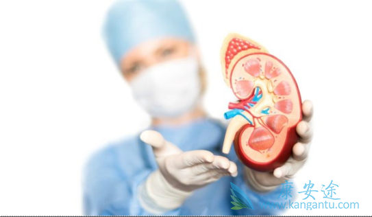 肾癌晚期 肾癌晚期