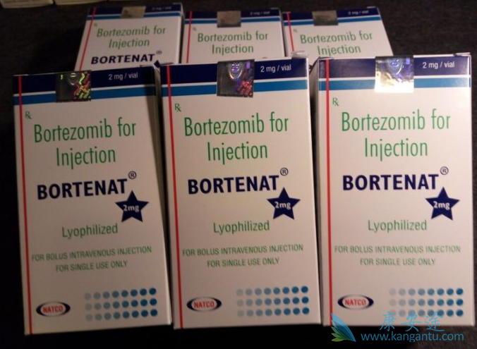 硼替佐米 硼替佐米